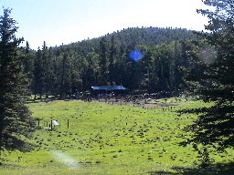 The corral as viewed from the Main Cabin at Beaubien